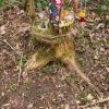 04 Aktion April 25 Feen und Wichtelwald